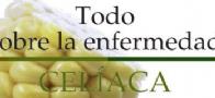 TODO SOBRE LA ENFERMEDAD CELIACA - Edita: Consejeria de Sanidad y Consumo Comunidad de Madrid
Coordinación: Asociacion de Celiacos de Madrid TODO SOBRE LA ENFERMEDAD CELIACA - Edita: Consejeria de Sanidad y Consumo Comunidad de Madrid
Coordinación: Asociacion de Celiacos de Madrid